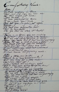 Comfortably Numb lyrics.