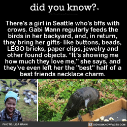 did-you-kno:  There’s a girl in Seattle