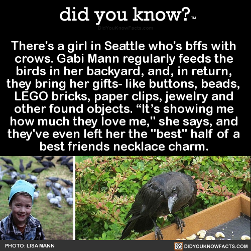 Sex did-you-kno:  There’s a girl in Seattle pictures