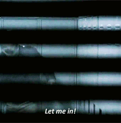 thedevilmonkey:  LET ME IN!