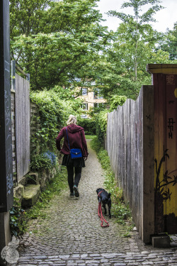 zwischen Menschen und Bassboxen