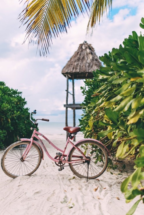 Beach Cruiser