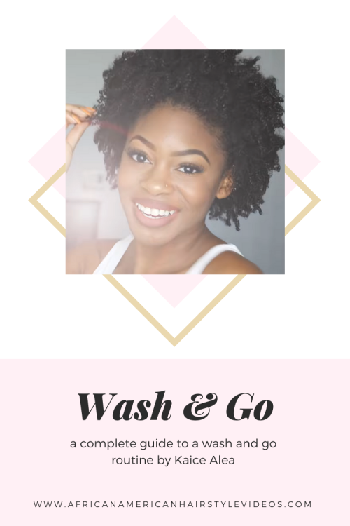 Wash And Style Your Wash & Gowww.africanamericanhairstylevideos.com/wash-n-go-how-to-on-