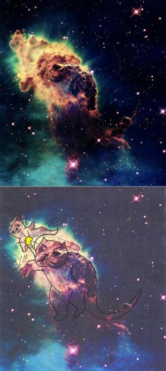 jaidefinichon:  Los cats estan dominando el universo 