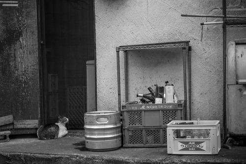 banjokids:   まかない・Serve on Flickr. 