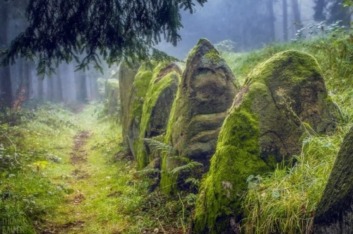 sweetd3lights:By Thomas Bauer