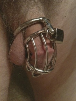 cocklockedsub:  Just received my new cage