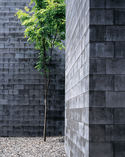 Niizeki Studio - WEP House, Tokyo. Via, 2, photos ©  Masao Nishikawa.