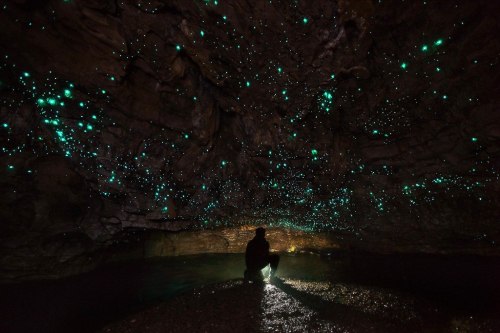 Blackreach in reality - Waitomo Glowworm Caves​​​​​World renowned and a magnet for both local a
