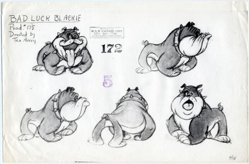 Bulldog model sheets. Looney Tunes, Disney, MGM, Hanna-Barbera: bulldogs were quite popular in anima