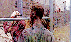 amandaseyfried-deactivated20151: Women’s Appreciation Week ▪ Day Five: Favourite Inspirational Character → Beth Greene (The Walking Dead)