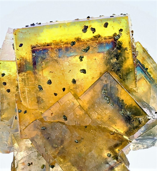 Fluorite - Bergmännisch Glück Mine, Frohnau, Erzgebirge, Saxony, Germany