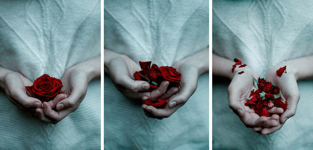 the way life drains us by annajuliesh 