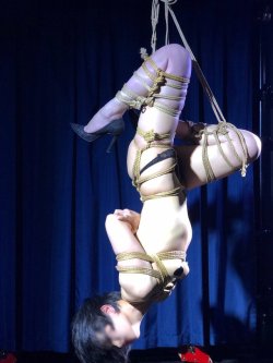 justscreenshots:  Shibari &amp; Photo Nagare Aotsuki