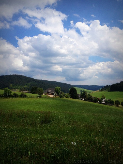 Driving through the Black Forest. Schönwald im Schwarzwald, Juni 2014.