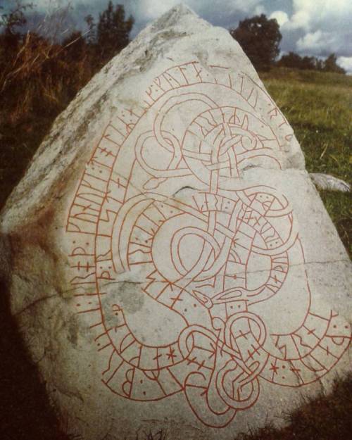 Runic stone from Adelsö (Urnes style). In: Anker, Litzell, Lundberg. Le Patrimonie Mondiale en Suède