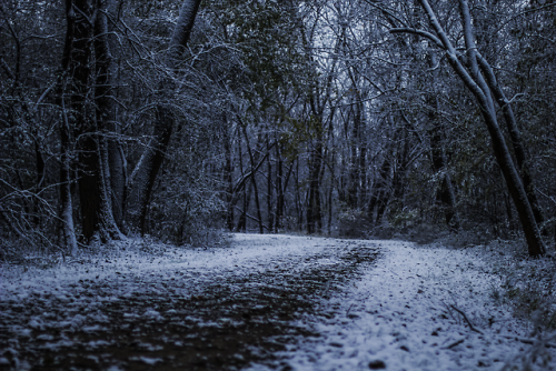 garettphotography:Winter Arrives | GarettPhotography