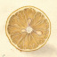 housewiththelemontree