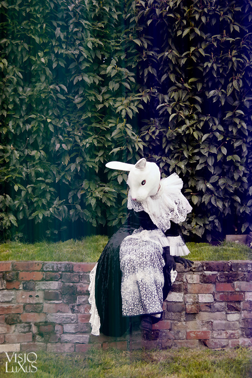 kambriel:  visioluxus:  Fancy Rabbit  Fashion and rabbiting by kambriel​  C’est moi! Hopping around 