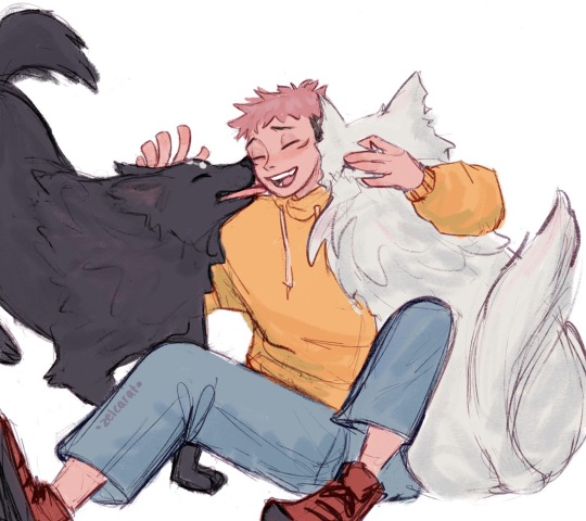 zelcarat:Emotional support divine dogs!