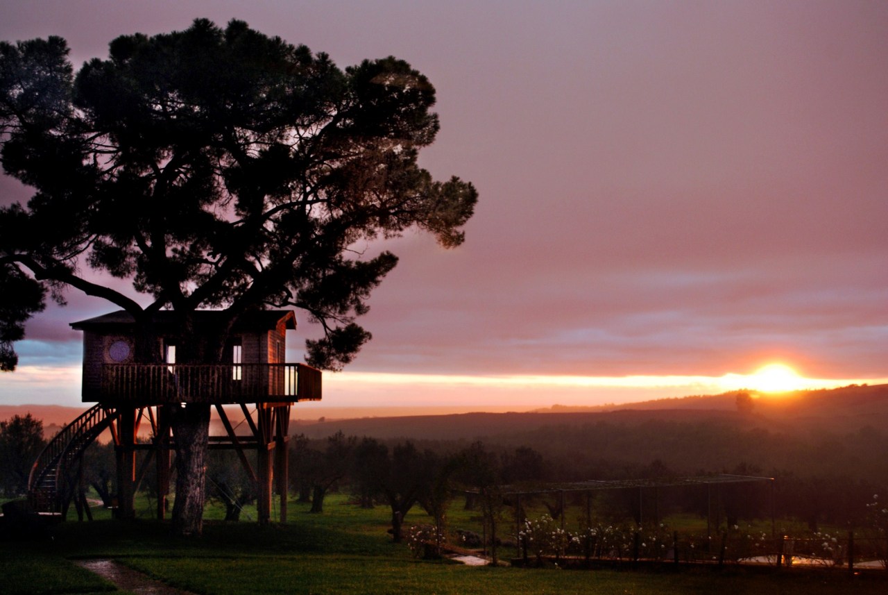 archatlas:  Rêvons Perchés La Cabane Perchée   For a happy life, dream high in