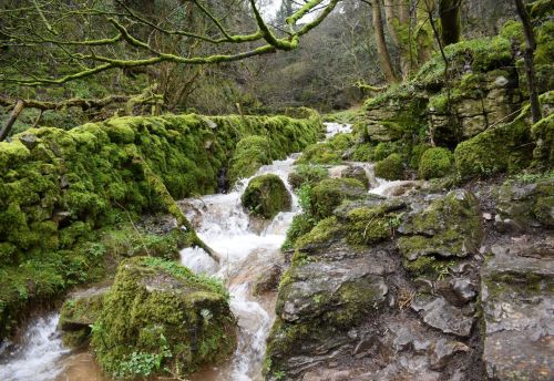 rherlotshadow: Flooded Devil’s Dell. Peak District, England, in winter.