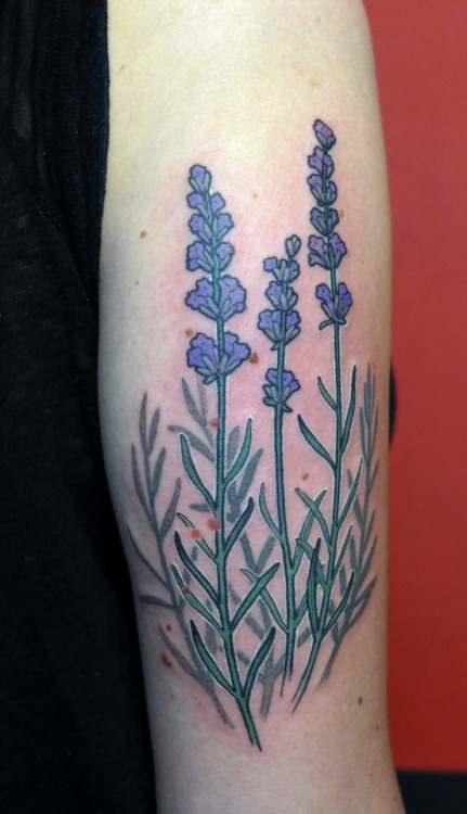 botanic tattoo