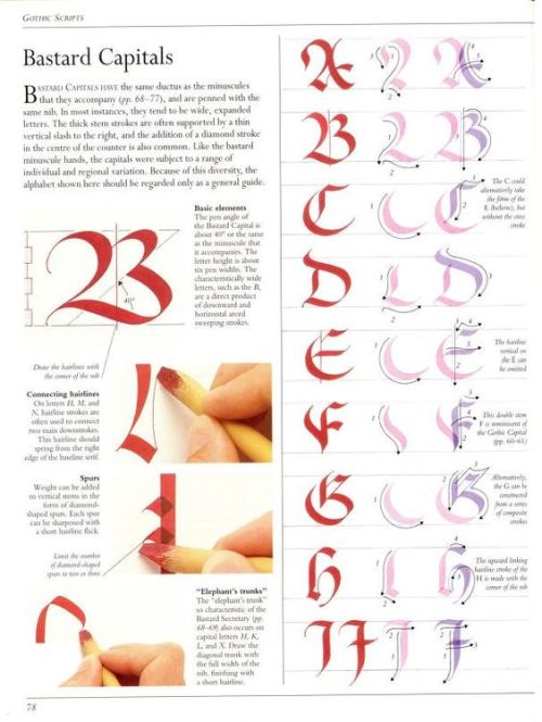 The Art Of Calligraphy