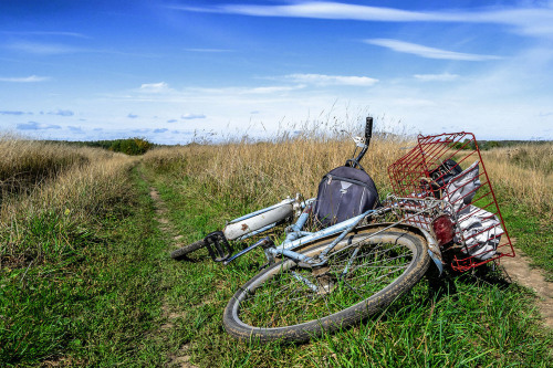 Traveller’s Rest✧ Landscape photography blog ✧