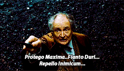 bahtmun:  FAVORITE MOVIE SCENES (no order)↳ Protecting Hogwarts - Harry Potter and the Deathly Hallows Part 2               