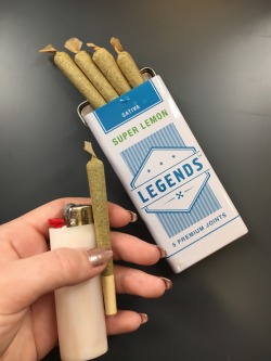 bong-ohs:  I love preroll packs so much 🙌