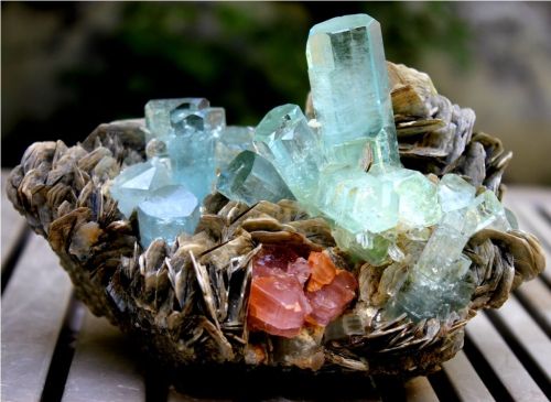 ggeology:Aquamarine crystals on Apatite with Mica // Nagar Mine, Gilgit Baltistan, Pakistan