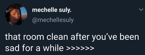 arandomthot:That cleaning hits differently when you’re upset