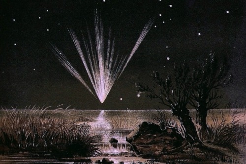 starxgoddess:Great Comet of 1861, also known as C-1861 J1 or comet Tebbutt; drawing by E. Weiss