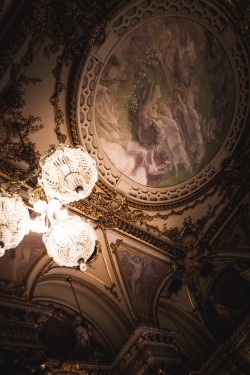 frederick-ardley:  Grand Ceiling, Paris Photographed