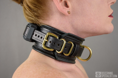 discerningspecialist: DSG - LEATHER SHOCK COLLAR WIDE Although the iQ-Plus unit seems to be a great 