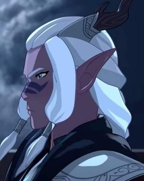 Moonshadow Elf Runaan from TheDragonPrince NetflixIch love his character design. White hair and po