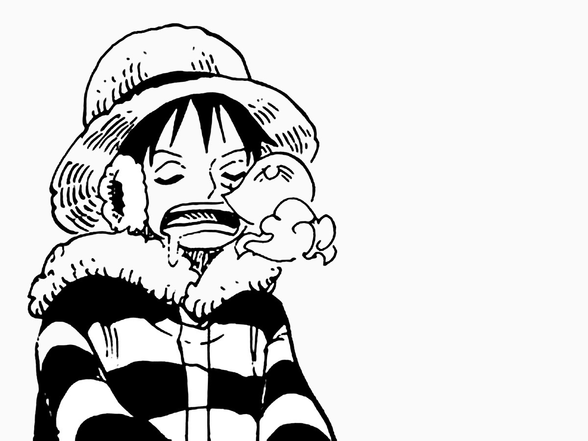 Zoro Understands Luffy