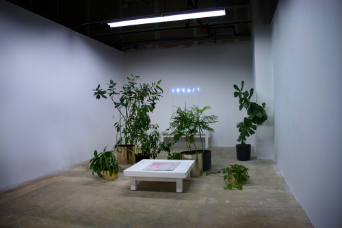 shamefullyinspired:  New Studio. 