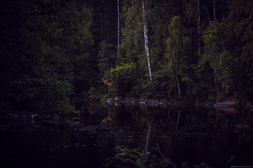 shadecraft-blog: Nature inspiration Shots from Karelia, summer 2015 © Aderhine photography