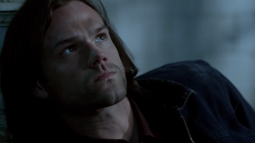 suncaptor:something about how Crowley has Sam literally come and kill him, has Sam watch him in agon