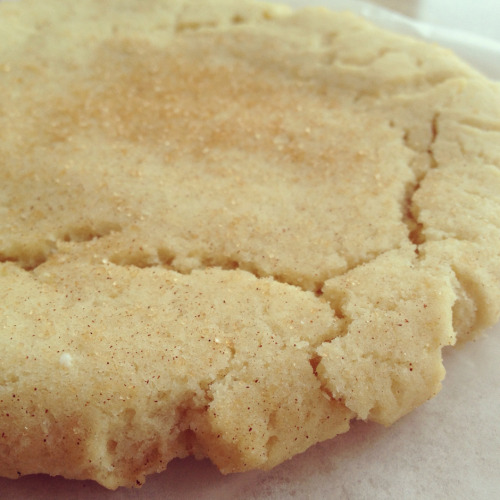 vegcoast:  Anyone making vegan snickerdoodles? (via Worldwide Vegan Bake Sale 2013 coming to Vancouver and Langley | Veg Coast)