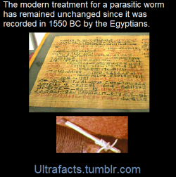 ultrafacts:    Dracunculiasis (Guinea worm)