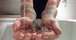 Blazepress:  Bird Bath. 