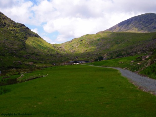 for-the-love-of-ireland - Paths on the long distance walk “Kerry...