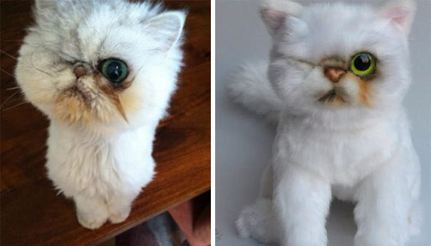 catsbeaversandducks:This Company Makes Exact Plush Toy Copies Of Your PetsThe Cuddle