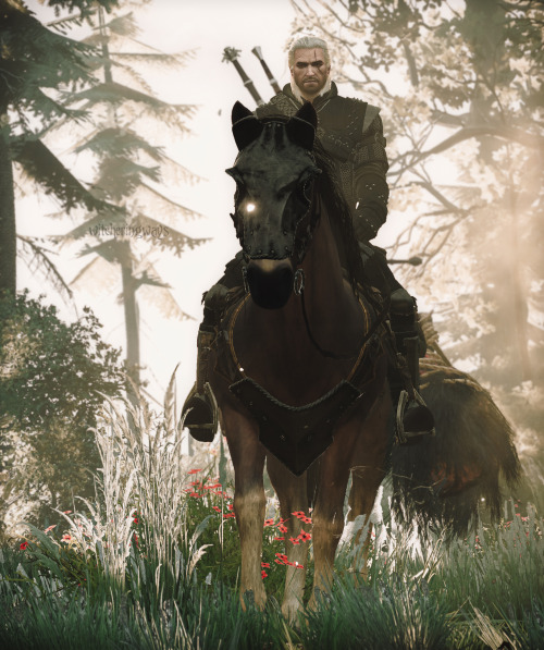 witcheringways:Thinking about playing TW3 for the 10th time… Let’s go, Roach! 