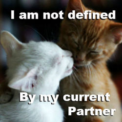 solitary-persephone:  Kittens bust biphobia