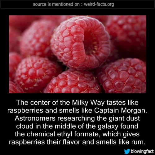 mindblowingfactz:The center of the Milky Way tastes like raspberries and smells like Captain Morgan.