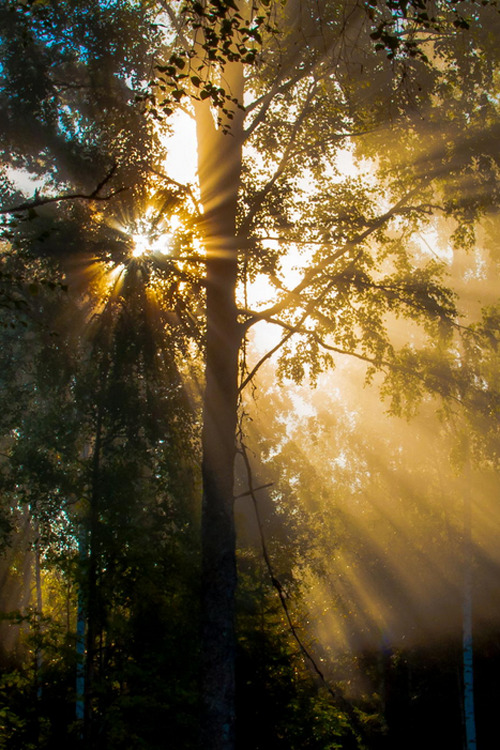 Morning Sunset - By Tubbe Sebom